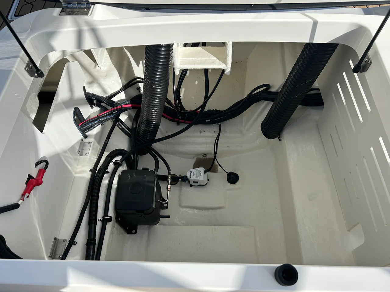 2026 Sea Ray SPX 210 Outboard 21.0 feet, Clearwater, Florida #9