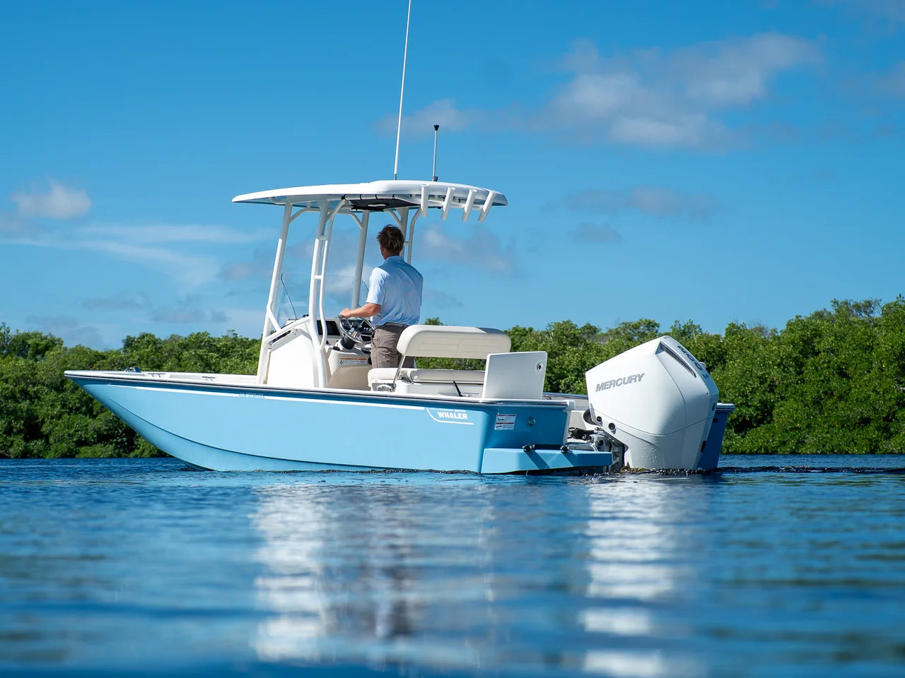 2026 Boston Whaler 210 Montauk 21.0 feet, Clearwater, Florida #2