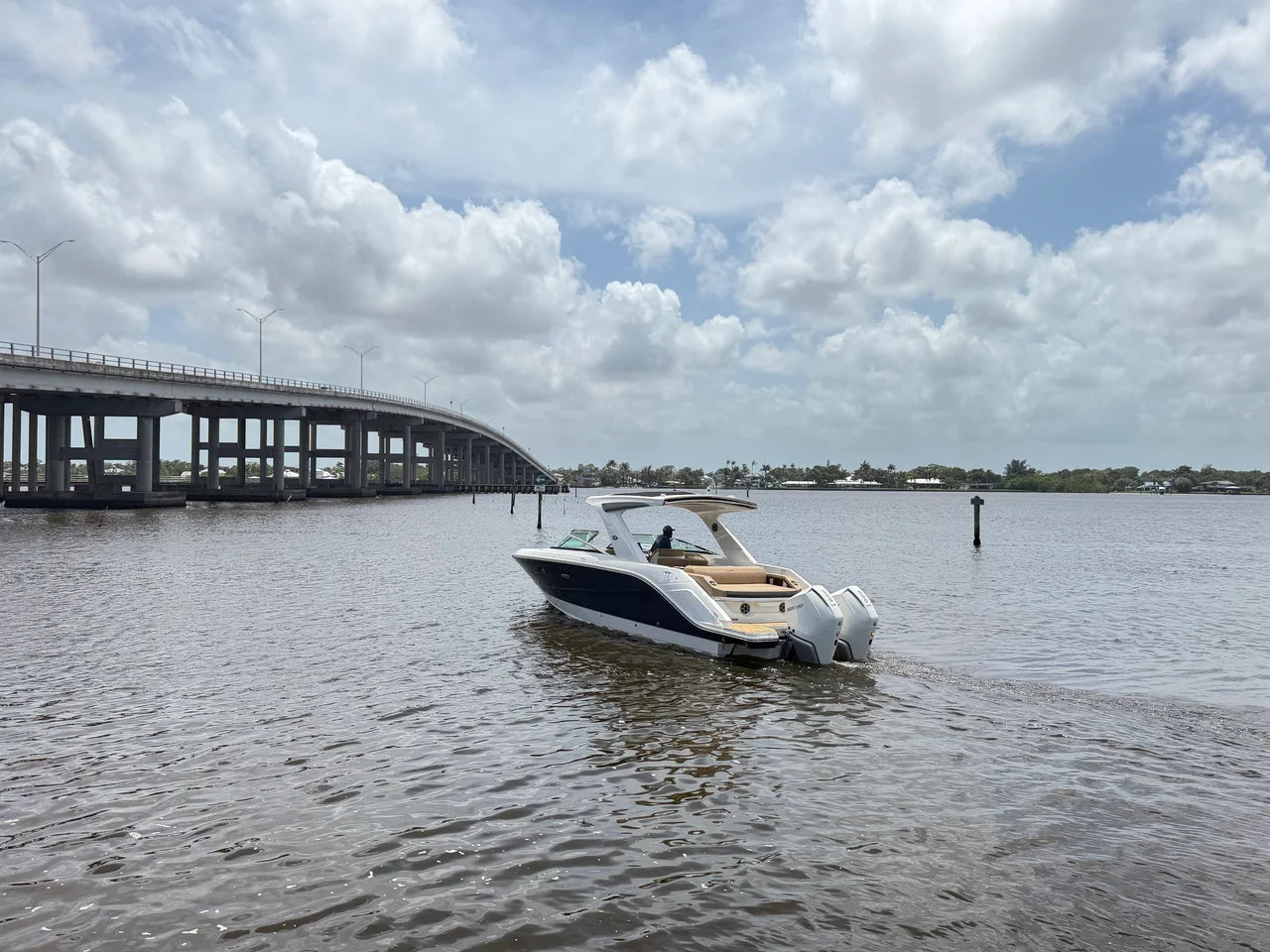 2026 Sea Ray SLX 310 Outboard 31.0 feet, Clearwater, Florida #7