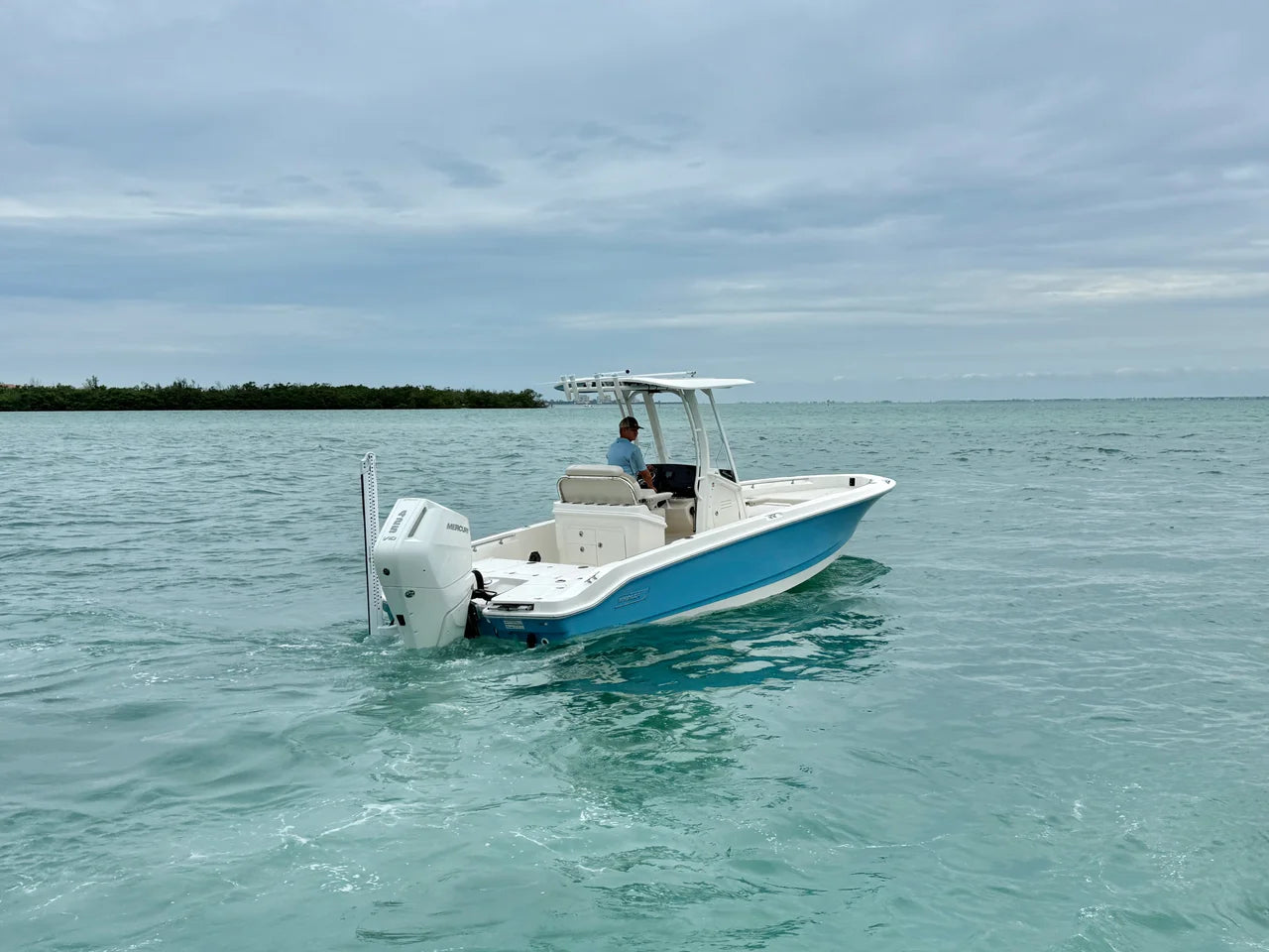 2026 Boston Whaler 250 Dauntless 25.0 feet, Clearwater, Florida #5