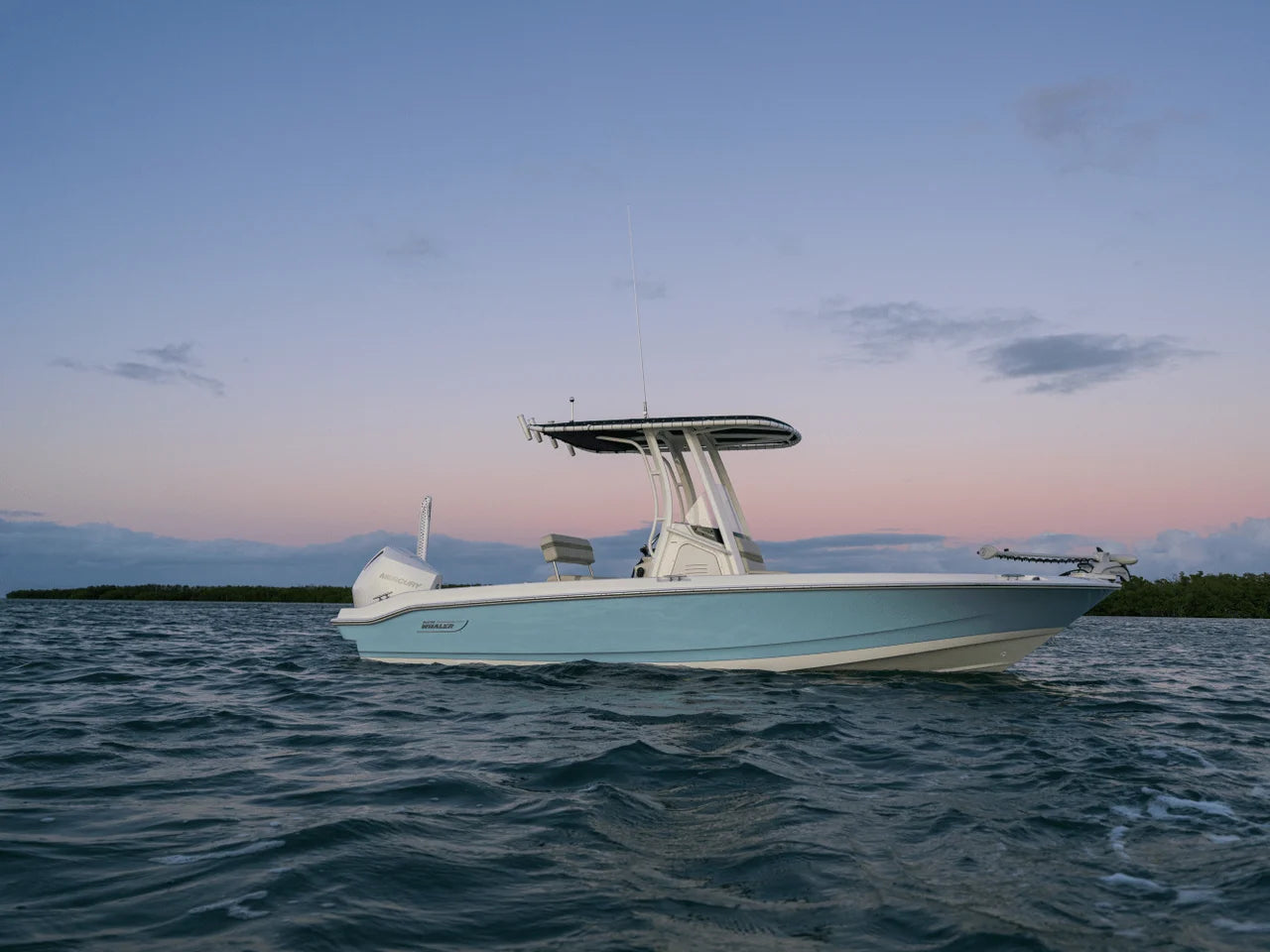 2026 Boston Whaler 220 Dauntless 22.0 feet, Clearwater, Florida #22