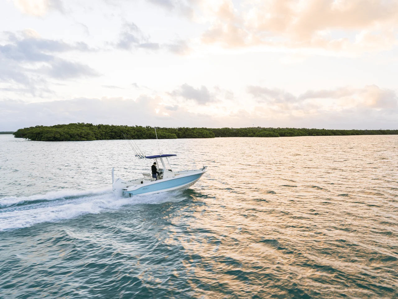 2026 Boston Whaler 220 Dauntless 22.0 feet, Clearwater, Florida #21