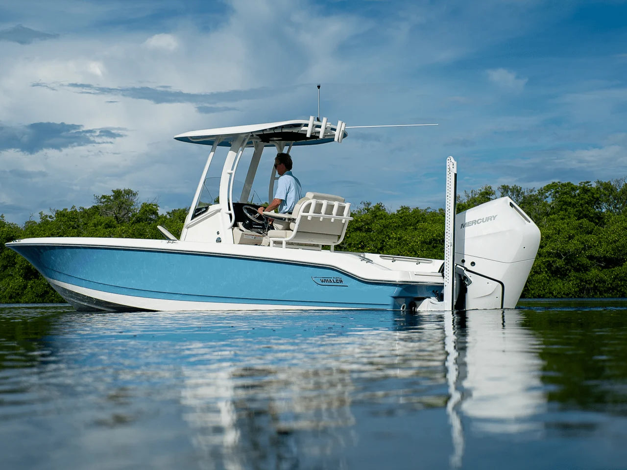 2026 Boston Whaler 250 Dauntless 25.0 feet, Clearwater, Florida #2