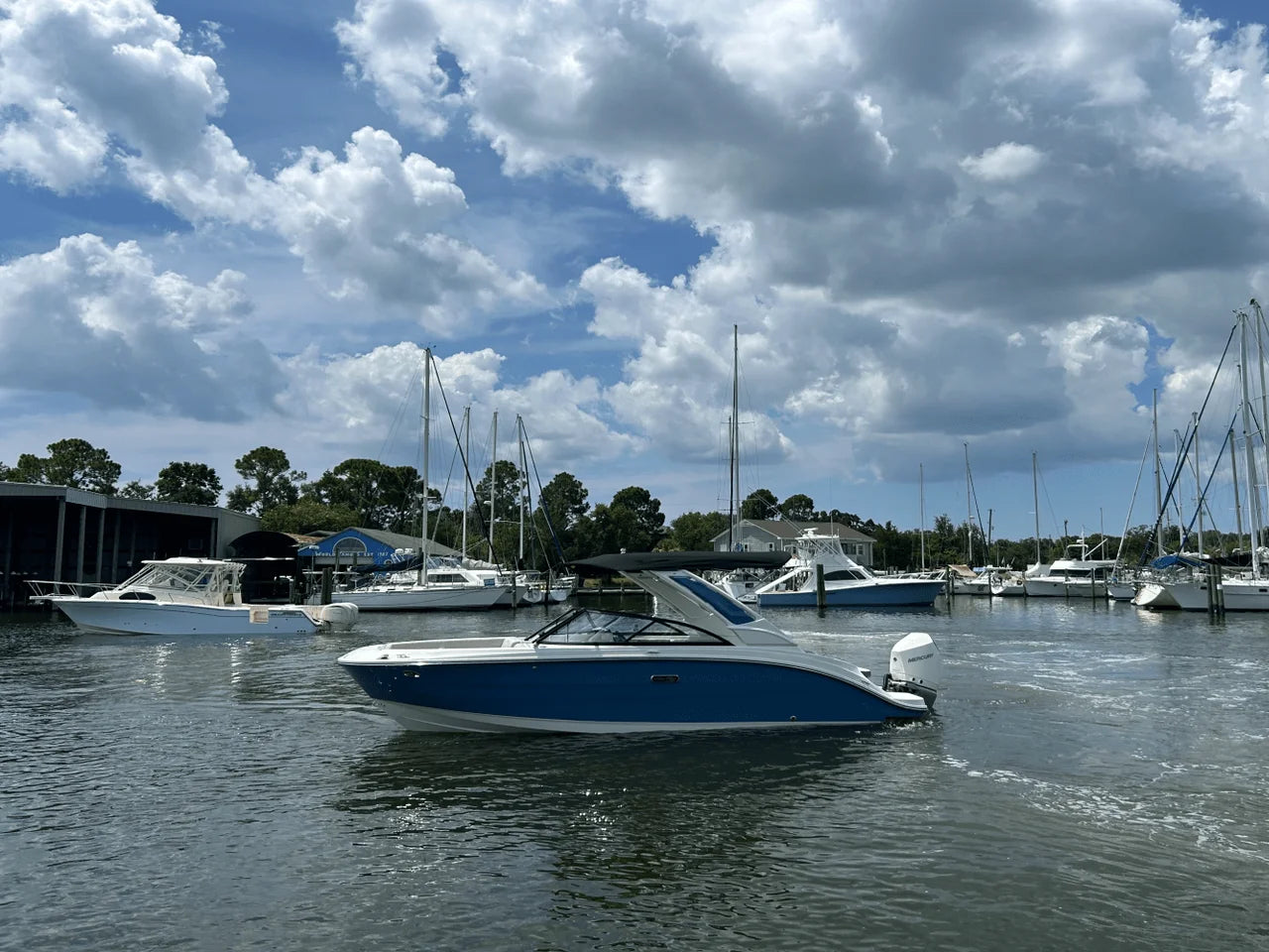 2026 Sea Ray SDX 230 Outboard 23.0 feet, Clearwater, Florida #3