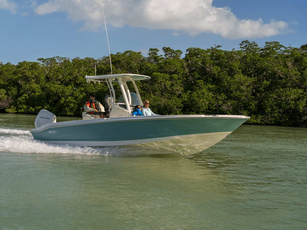 2026 Boston Whaler 250 Dauntless 25.0 feet, Clearwater, Florida #10