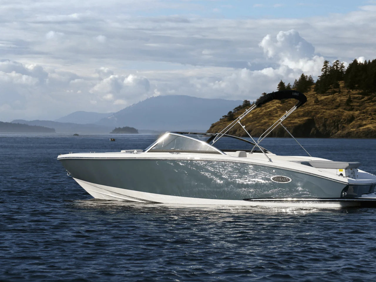 2027 Cobalt CS22 22.0 feet, Clearwater, Florida #3