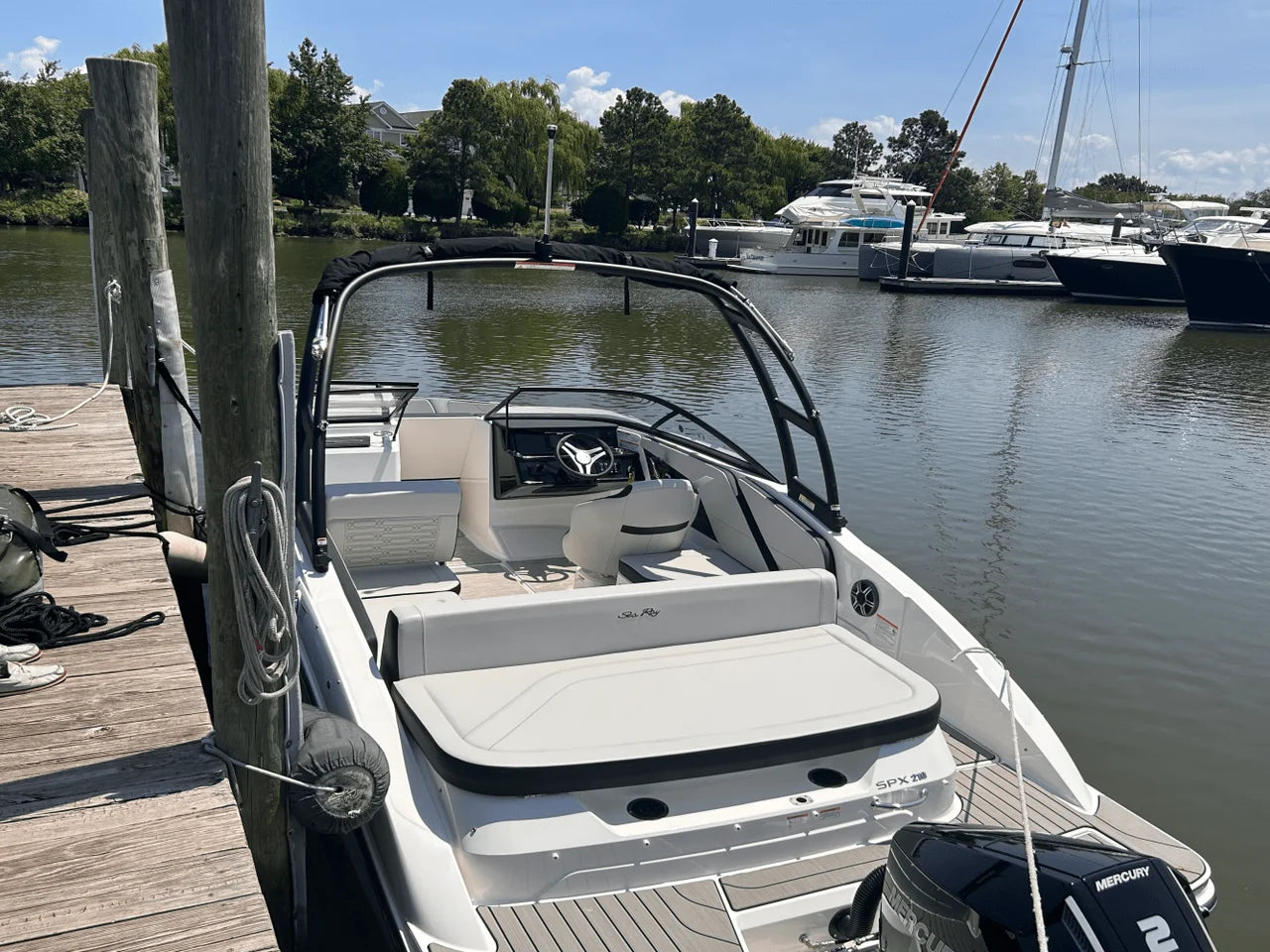 2026 Sea Ray SPX 210 Outboard 21.0 feet, Clearwater, Florida #9