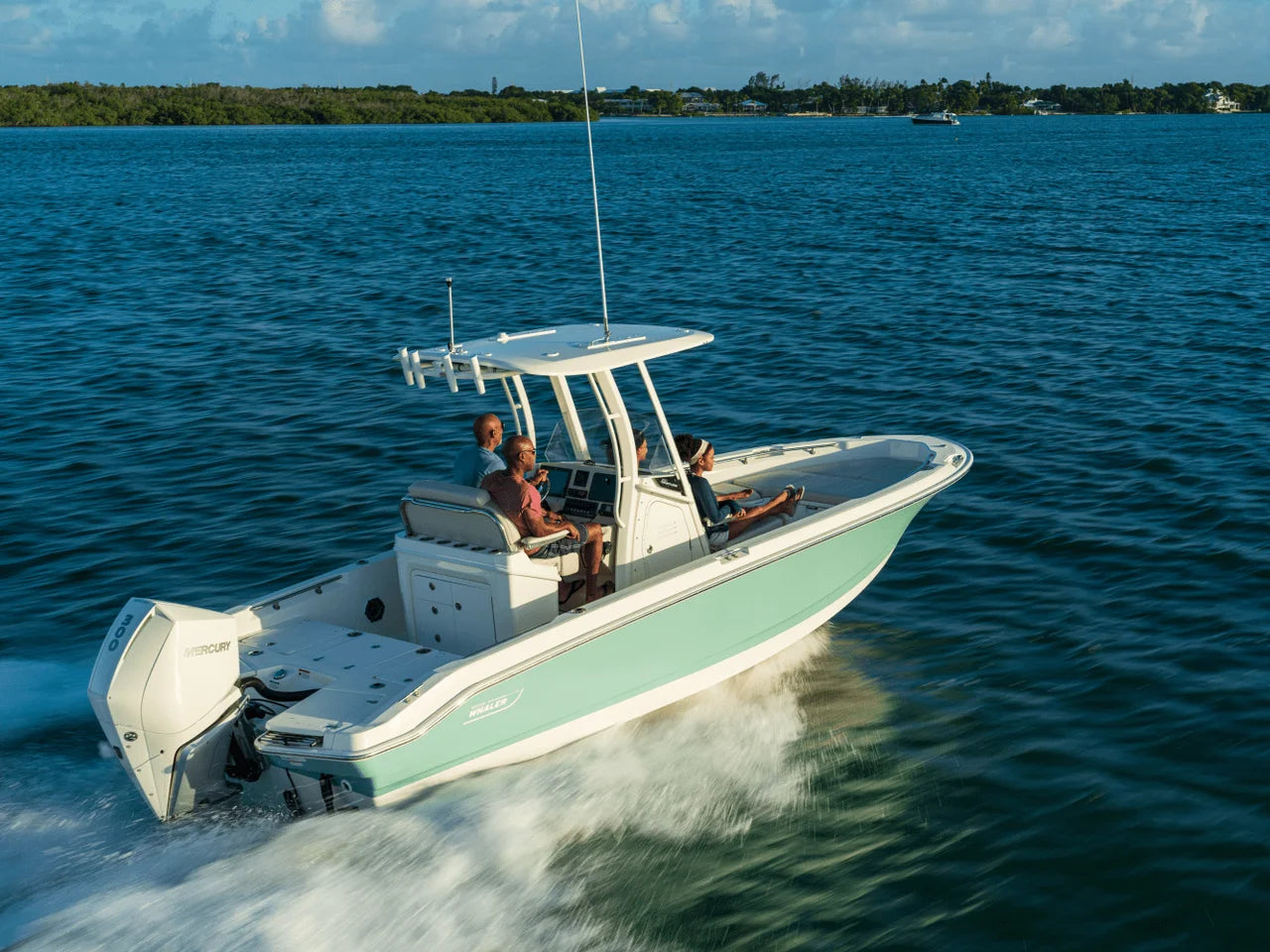 2026 Boston Whaler 250 Dauntless 25.0 feet, Clearwater, Florida #26