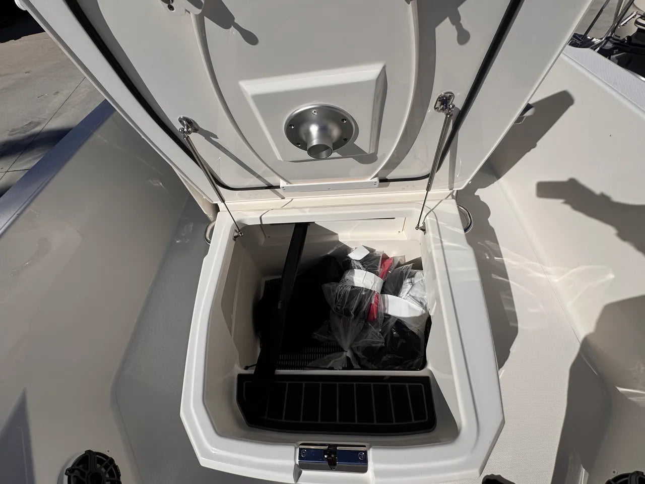 2026 Boston Whaler 250 Dauntless 25.0 feet, Clearwater, Florida #24