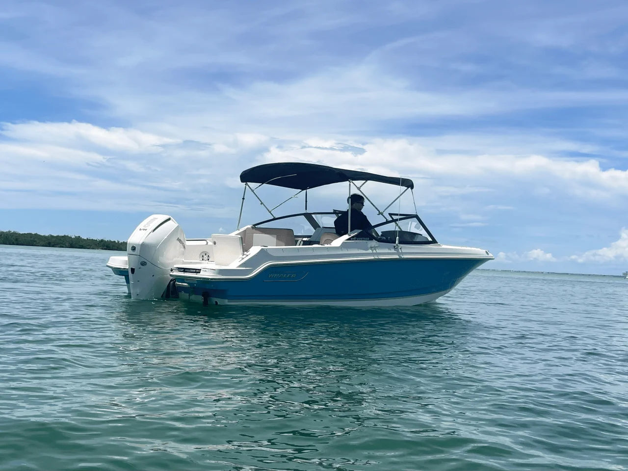 2025 Boston Whaler 210 Vantage 21.0 feet, Clearwater, Florida #3
