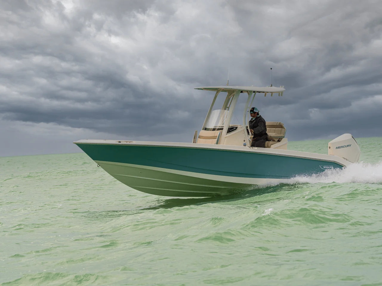 2026 Boston Whaler 250 Dauntless 25.0 feet, Clearwater, Florida #23