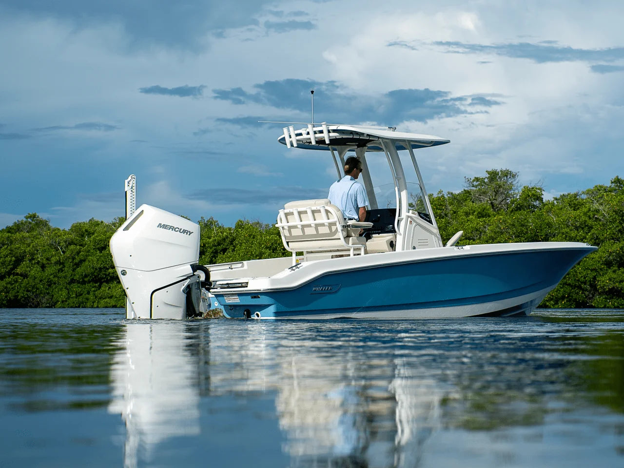 2026 Boston Whaler 250 Dauntless 25.0 feet, Clearwater, Florida #38