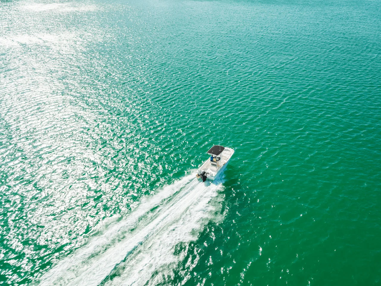 2026 Boston Whaler 190 Montauk 19.0 feet, Clearwater, Florida #11