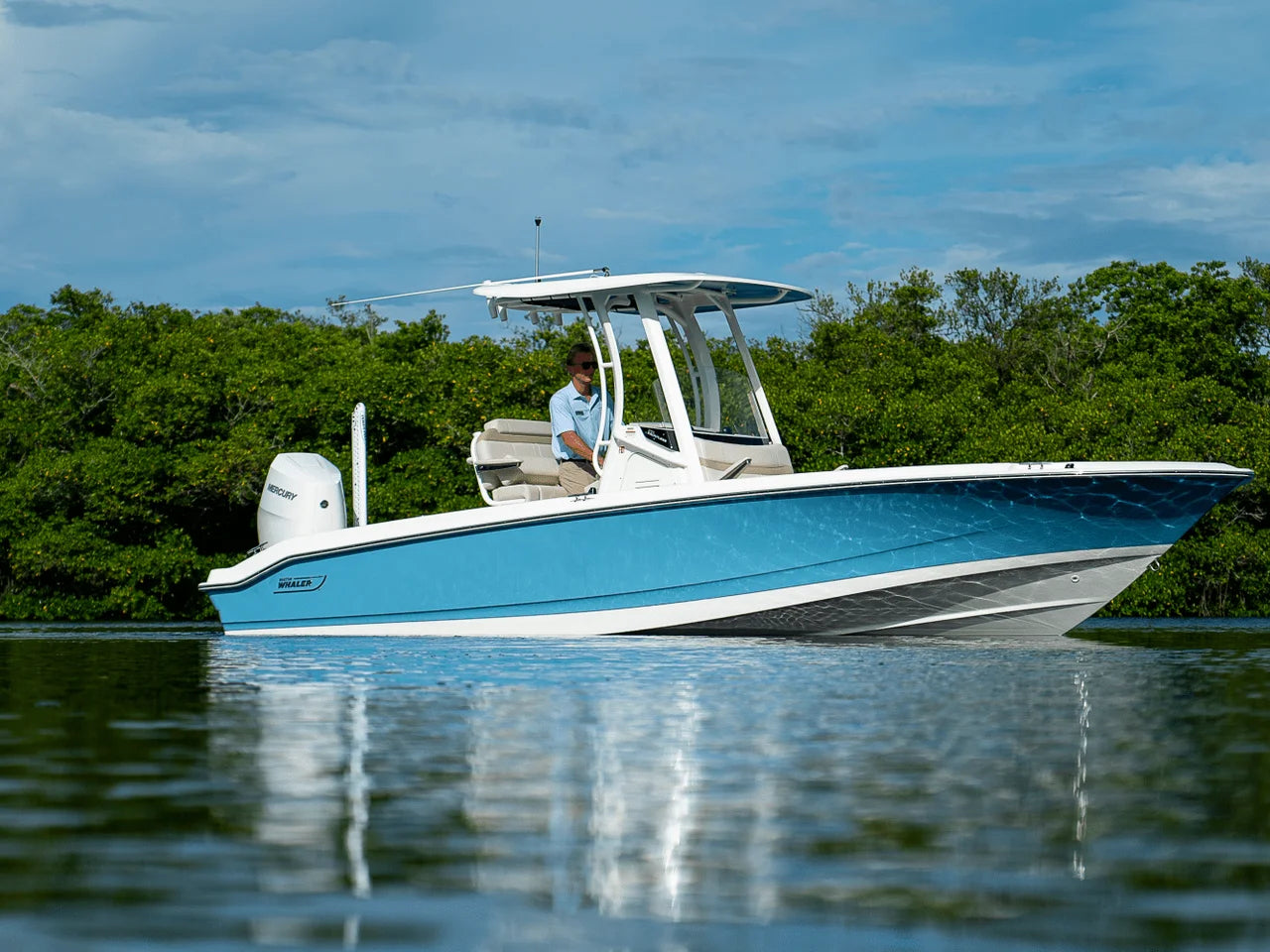 2026 Boston Whaler 250 Dauntless 25.0 feet, Clearwater, Florida #23