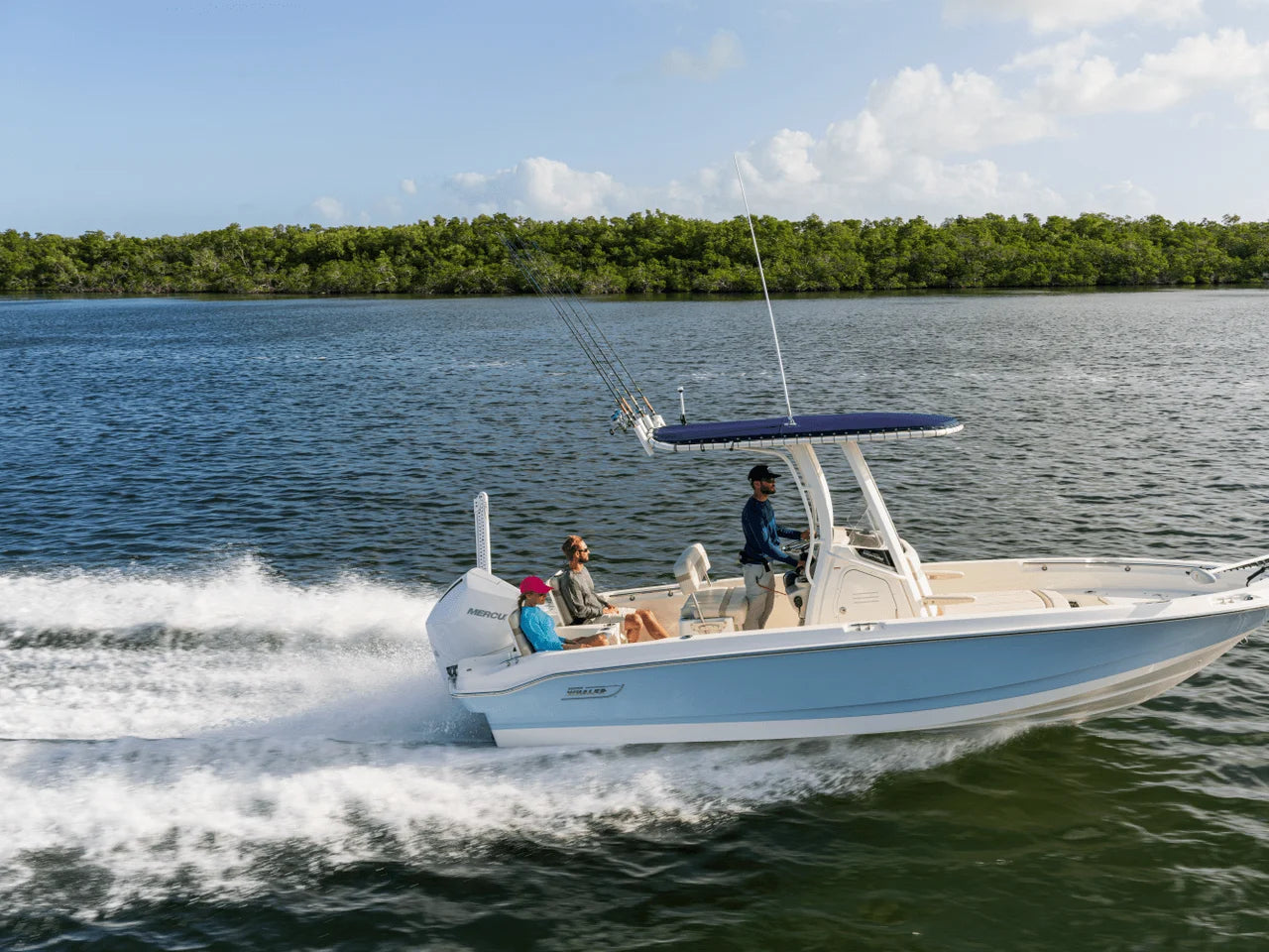 2026 Boston Whaler 220 Dauntless 22.0 feet, Clearwater, Florida #8