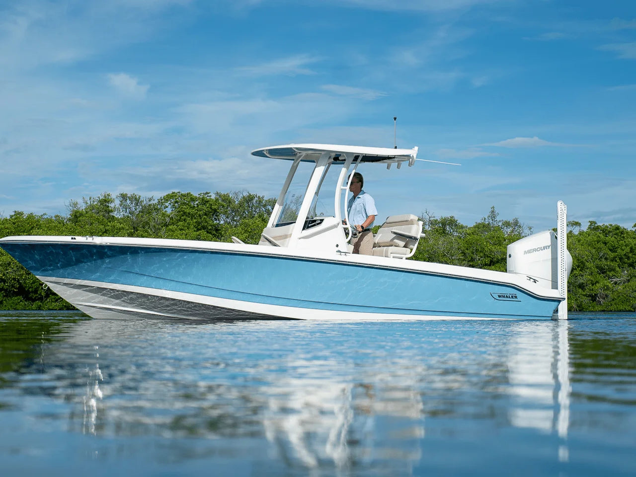 2026 Boston Whaler 250 Dauntless 25.0 feet, Clearwater, Florida #30