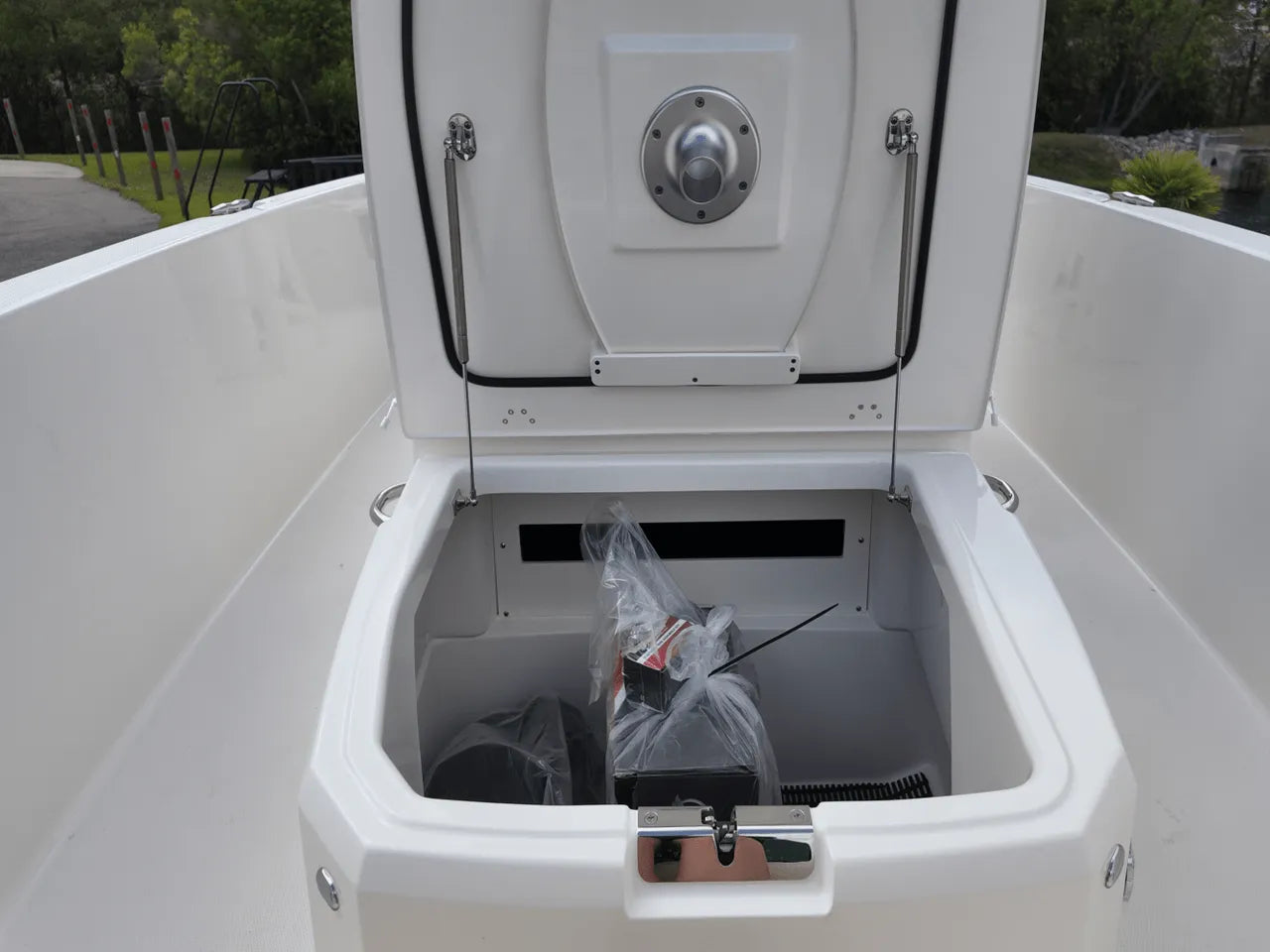 2025 Boston Whaler 220 Dauntless 22.0 feet, Clearwater, Florida #27