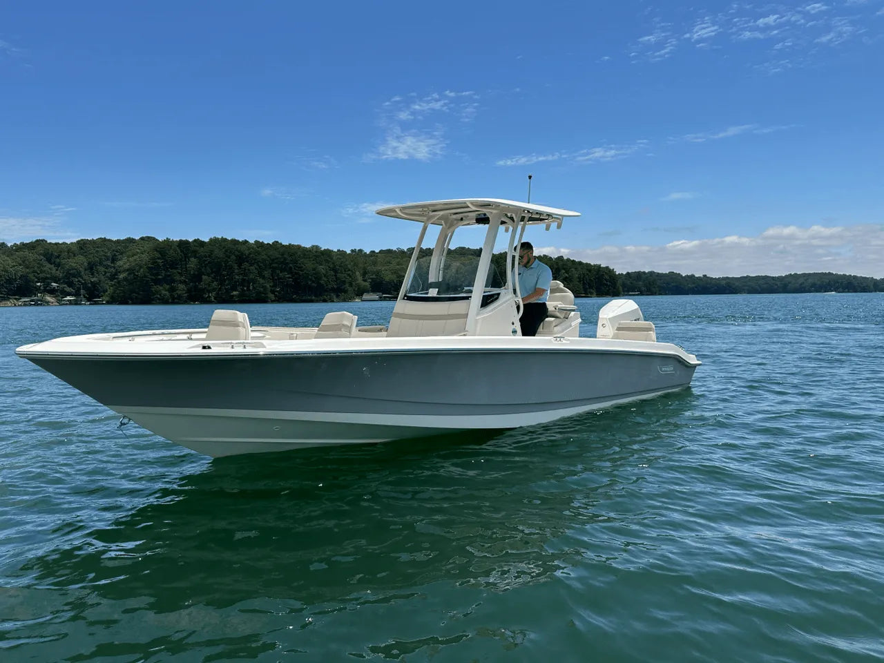 2025 Boston Whaler 250 Dauntless 25.0 feet, Clearwater, Florida #4