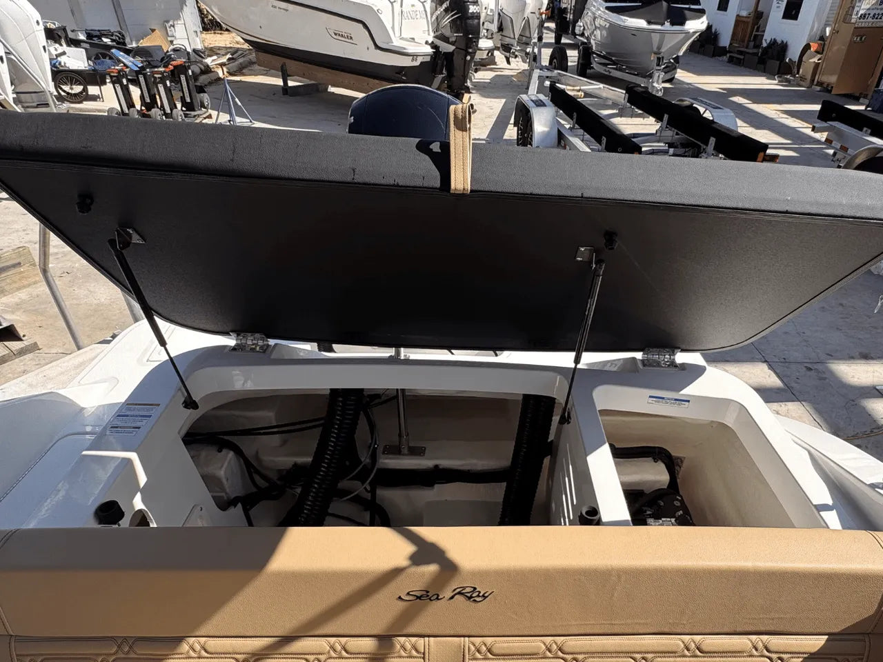 2025 Sea Ray SPX 190 Outboard 19.0 feet, Clearwater, Florida #16