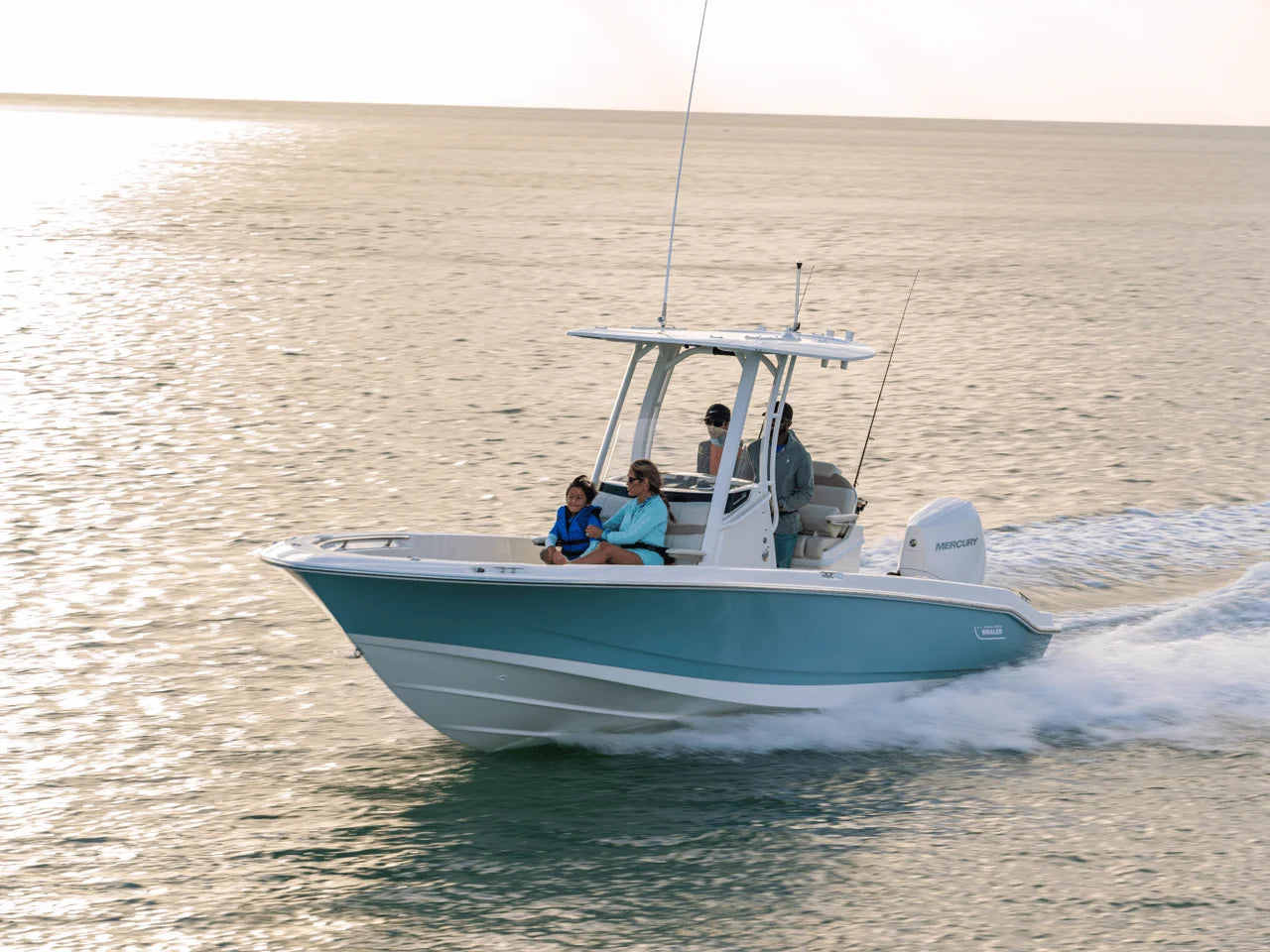 2026 Boston Whaler 250 Dauntless 25.0 feet, Clearwater, Florida #12