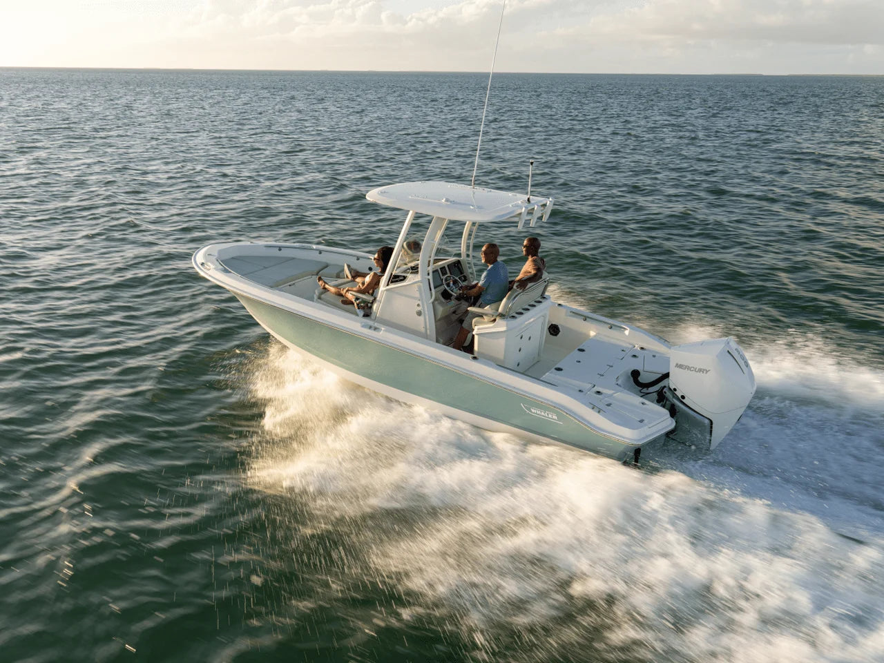 2026 Boston Whaler 250 Dauntless 25.0 feet, Clearwater, Florida #30