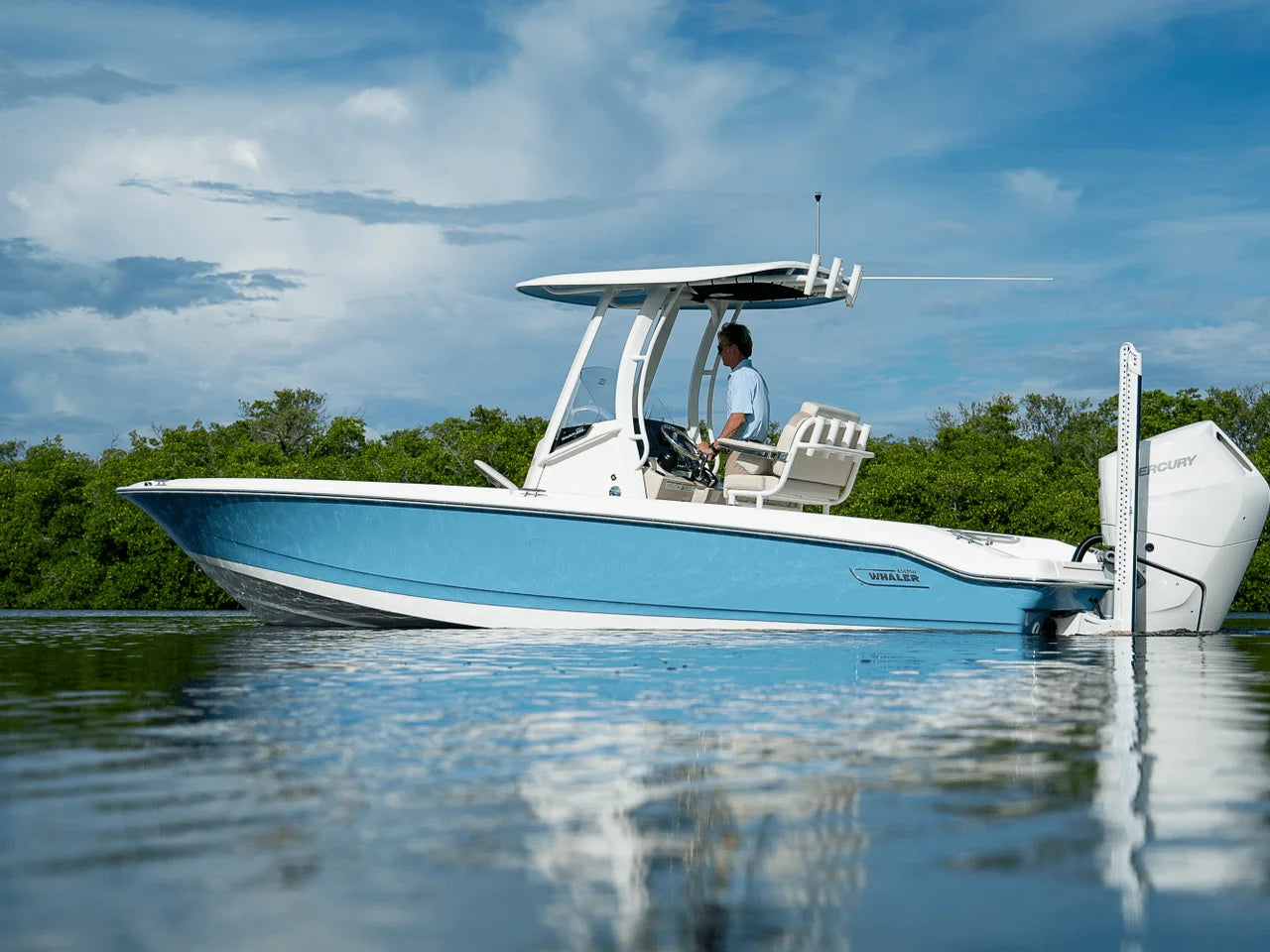 2026 Boston Whaler 250 Dauntless 25.0 feet, Clearwater, Florida #32