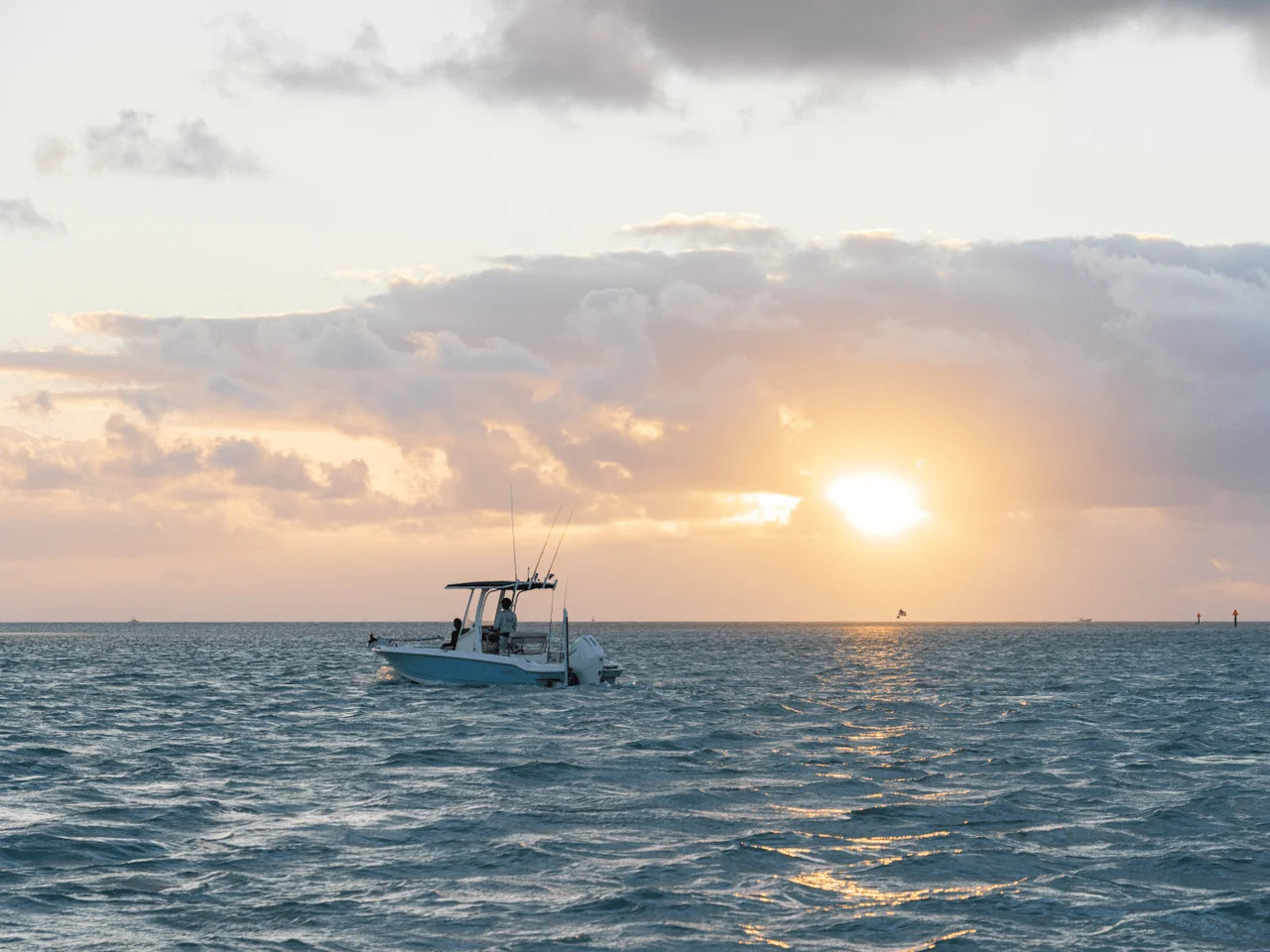 2026 Boston Whaler 220 Dauntless 22.0 feet, Clearwater, Florida #5