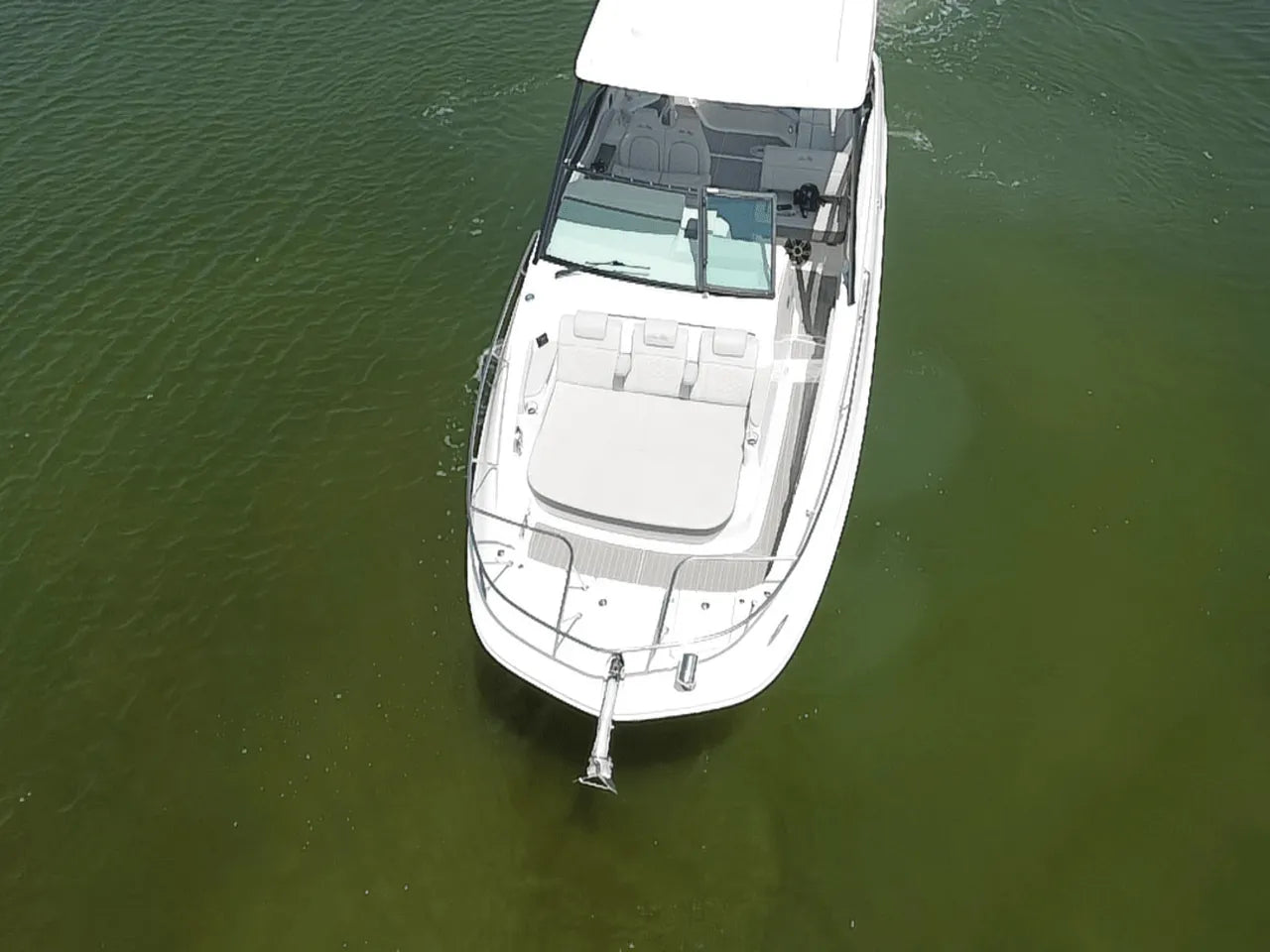 2025 Sea Ray Sundancer 320 Outboard 32.0 feet, Clearwater, Florida #5