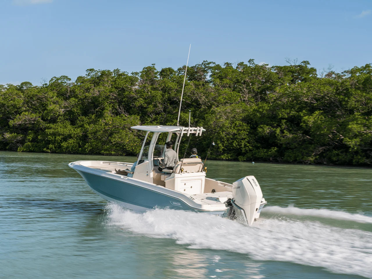 2026 Boston Whaler 250 Dauntless 25.0 feet, Clearwater, Florida #15