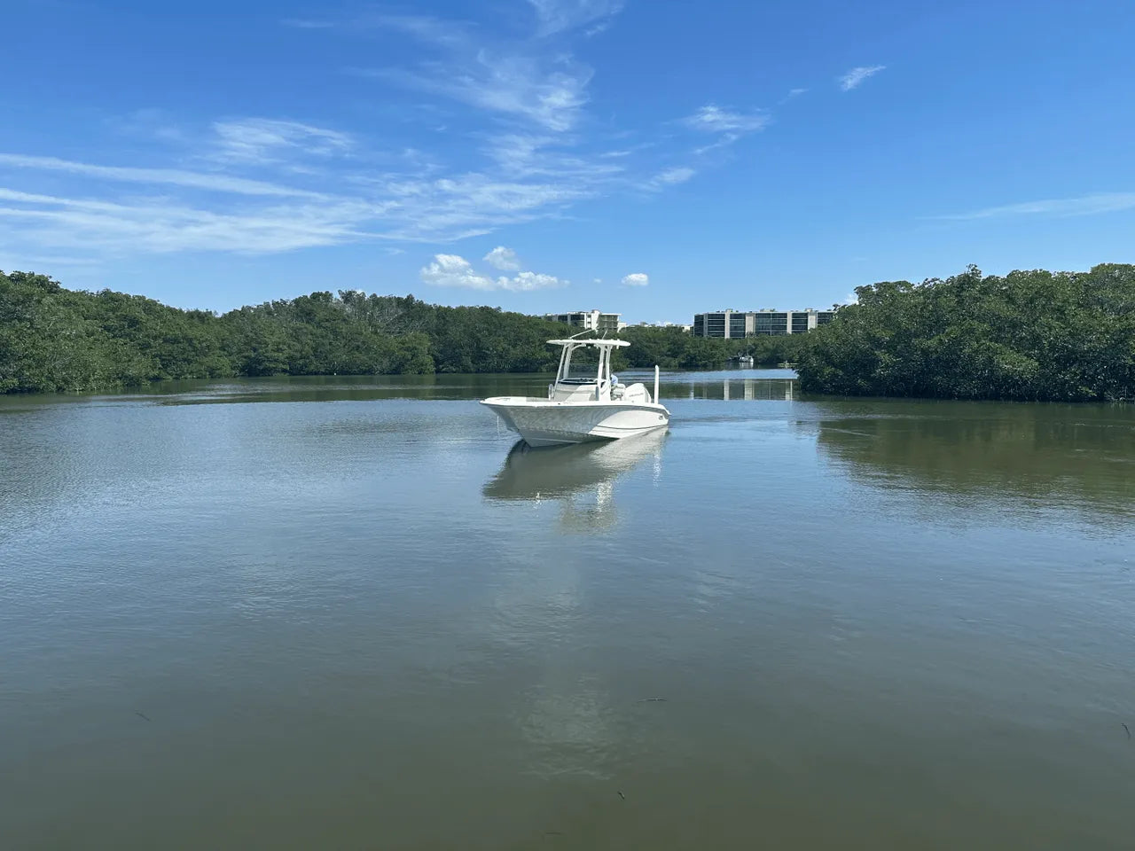 2025 Boston Whaler 250 Dauntless 25.0 feet, Clearwater, Florida #11