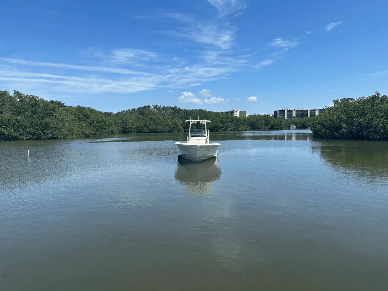 2025 Boston Whaler 250 Dauntless 25.0 feet, Clearwater, Florida #12