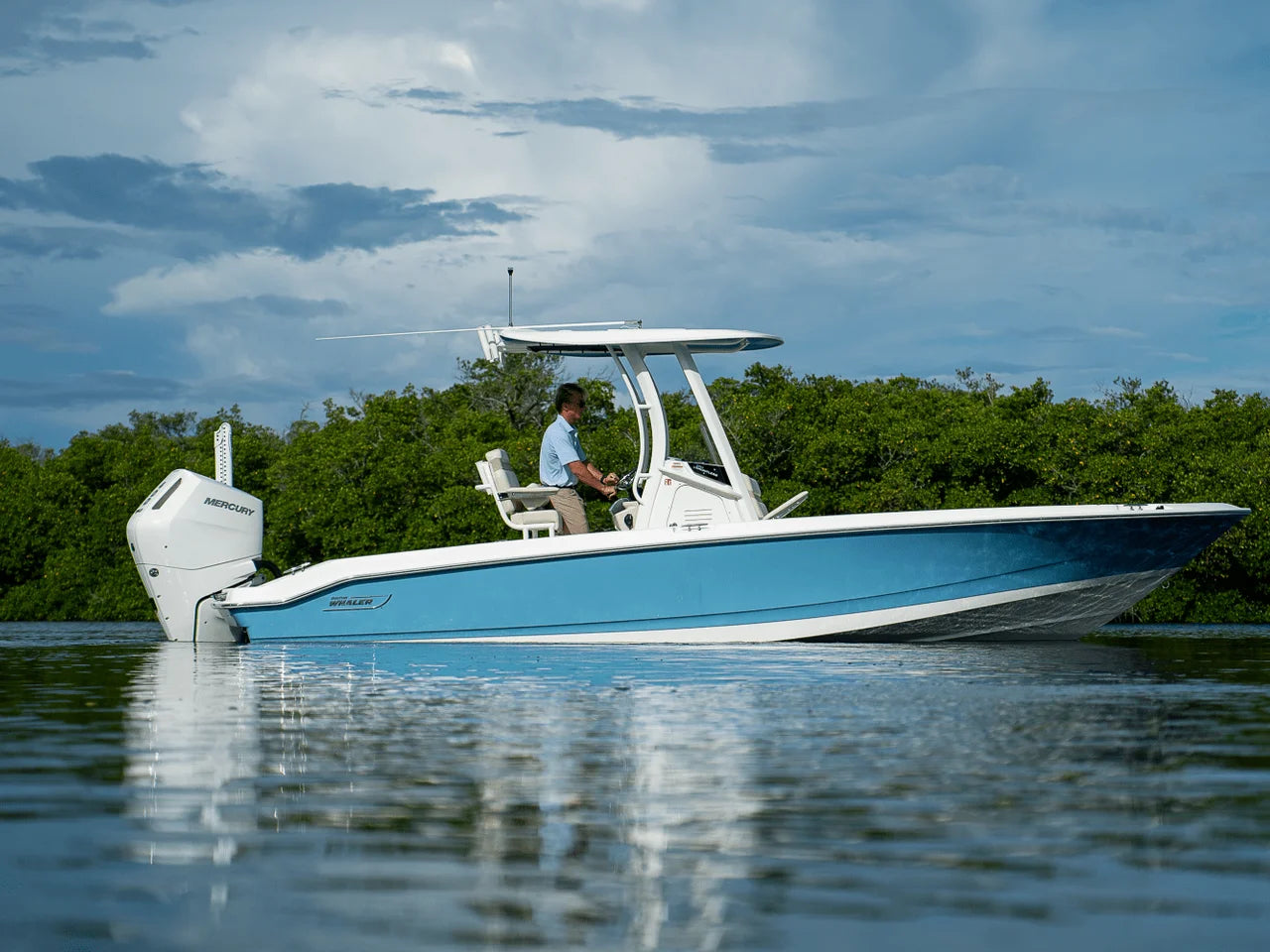 2026 Boston Whaler 250 Dauntless 25.0 feet, Clearwater, Florida #22