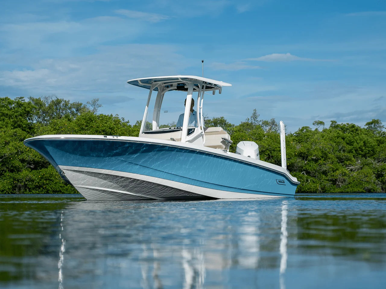 2026 Boston Whaler 250 Dauntless 25.0 feet, Clearwater, Florida #28
