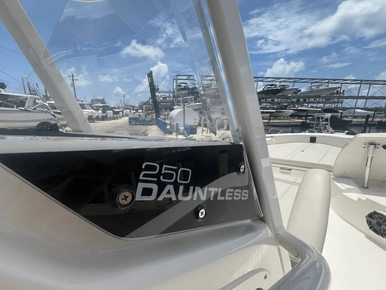 2025 Boston Whaler 250 Dauntless 25.0 feet, Clearwater, Florida #19