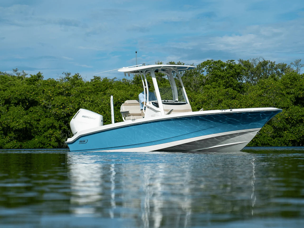 2026 Boston Whaler 250 Dauntless 25.0 feet, Clearwater, Florida #24