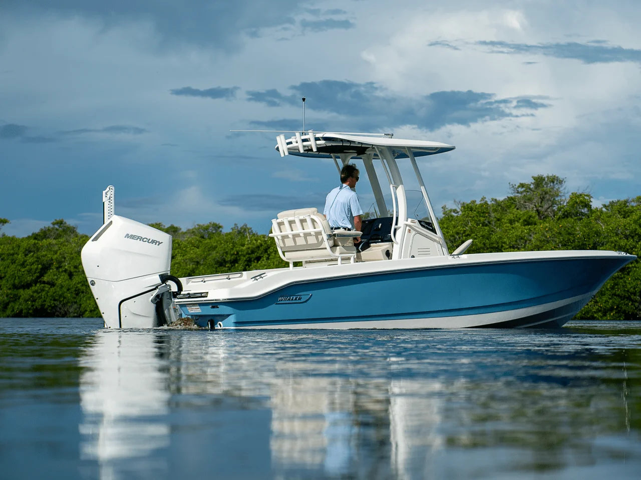 2026 Boston Whaler 250 Dauntless 25.0 feet, Clearwater, Florida #3