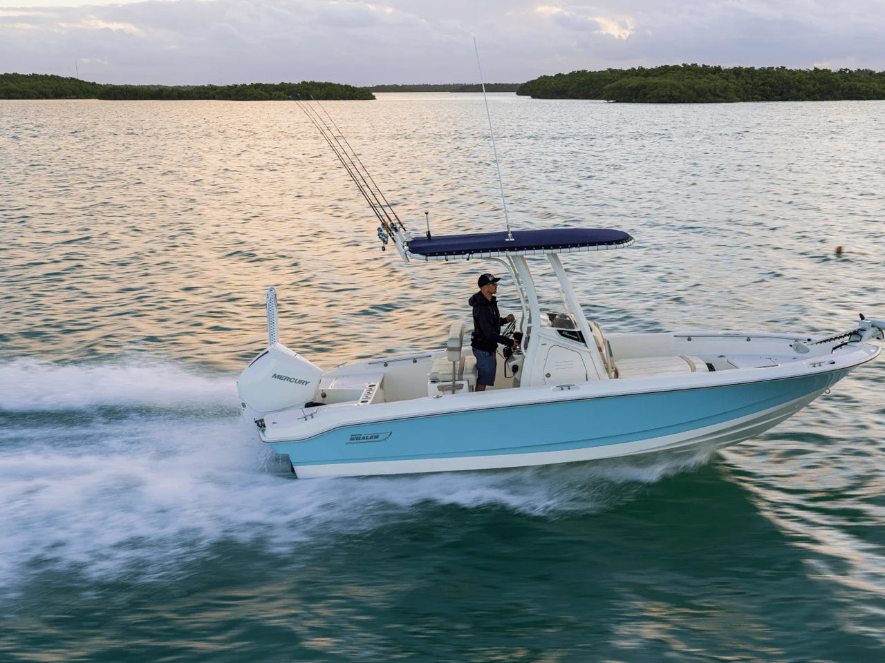 2026 Boston Whaler 220 Dauntless 22.0 feet, Clearwater, Florida #26