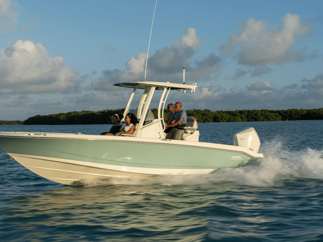 2026 Boston Whaler 250 Dauntless 25.0 feet, Clearwater, Florida #41
