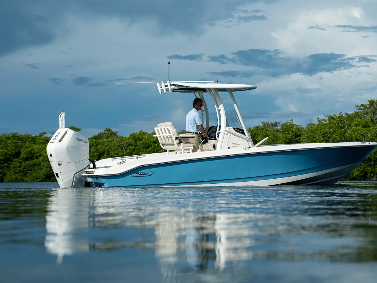 2026 Boston Whaler 250 Dauntless 25.0 feet, Clearwater, Florida #39