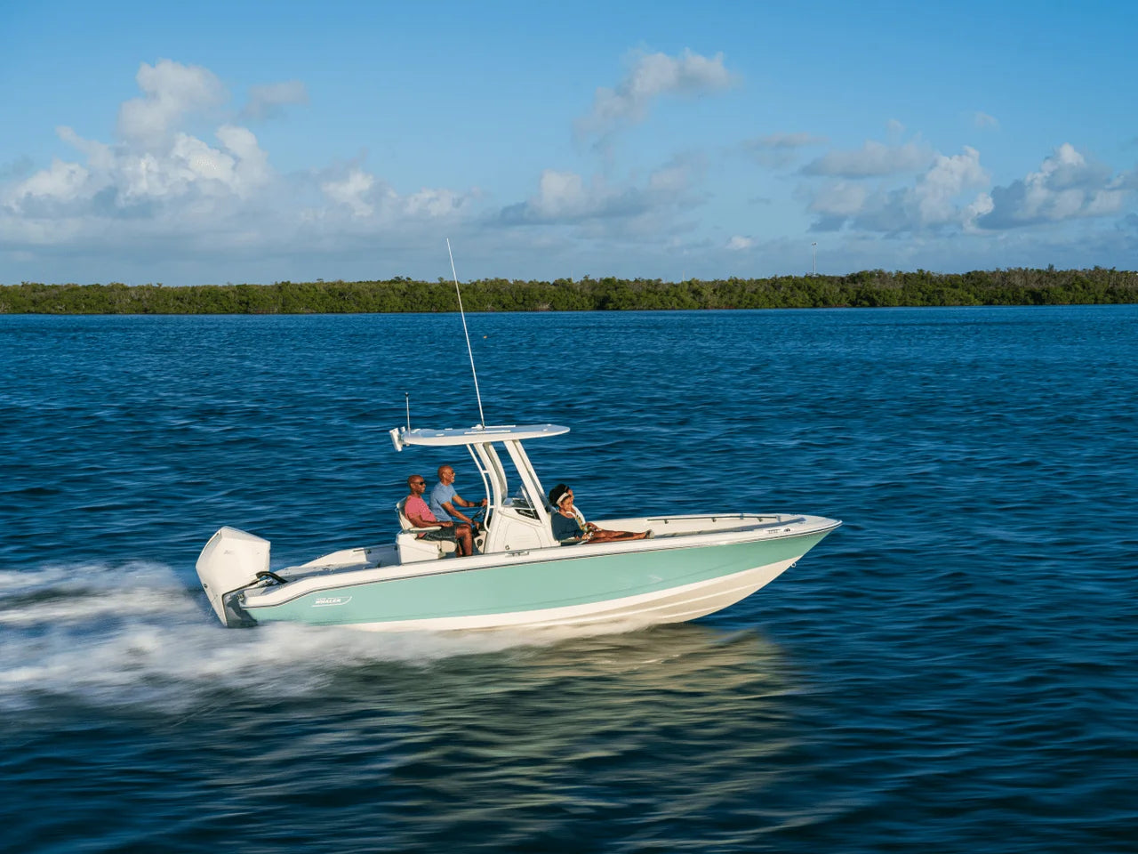 2026 Boston Whaler 250 Dauntless 25.0 feet, Clearwater, Florida #27