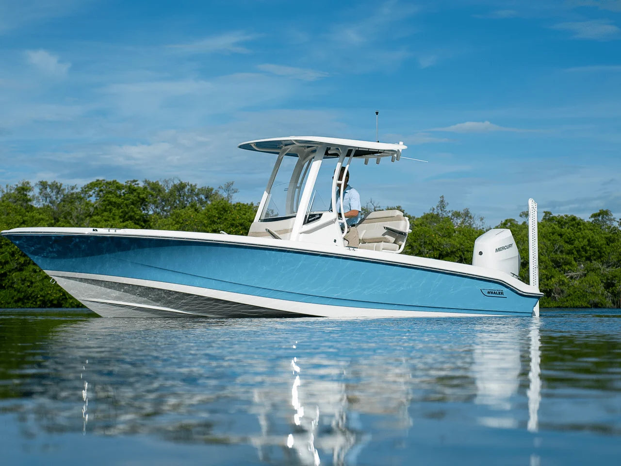 2026 Boston Whaler 250 Dauntless 25.0 feet, Clearwater, Florida #29