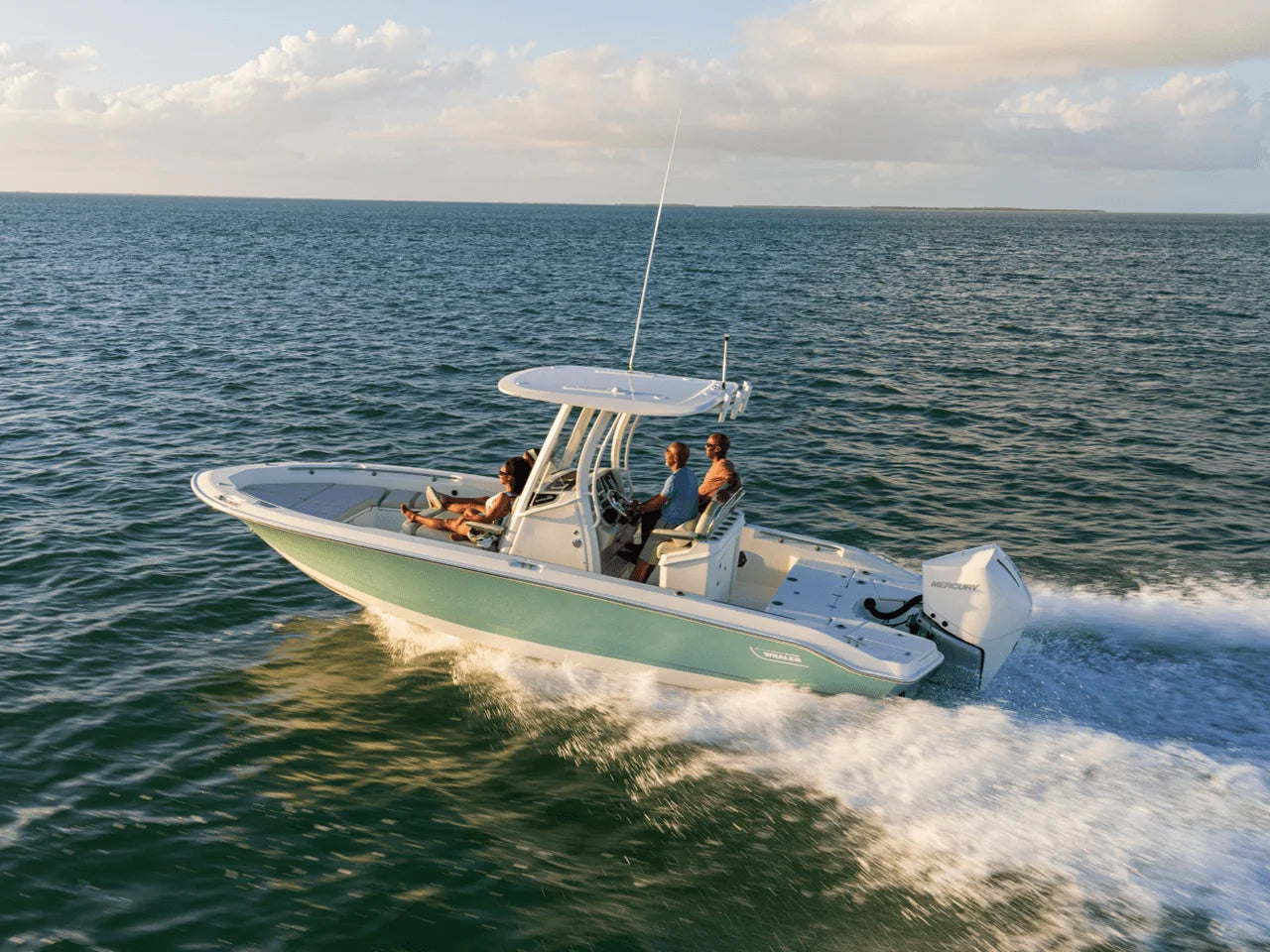 2026 Boston Whaler 250 Dauntless 25.0 feet, Clearwater, Florida #3