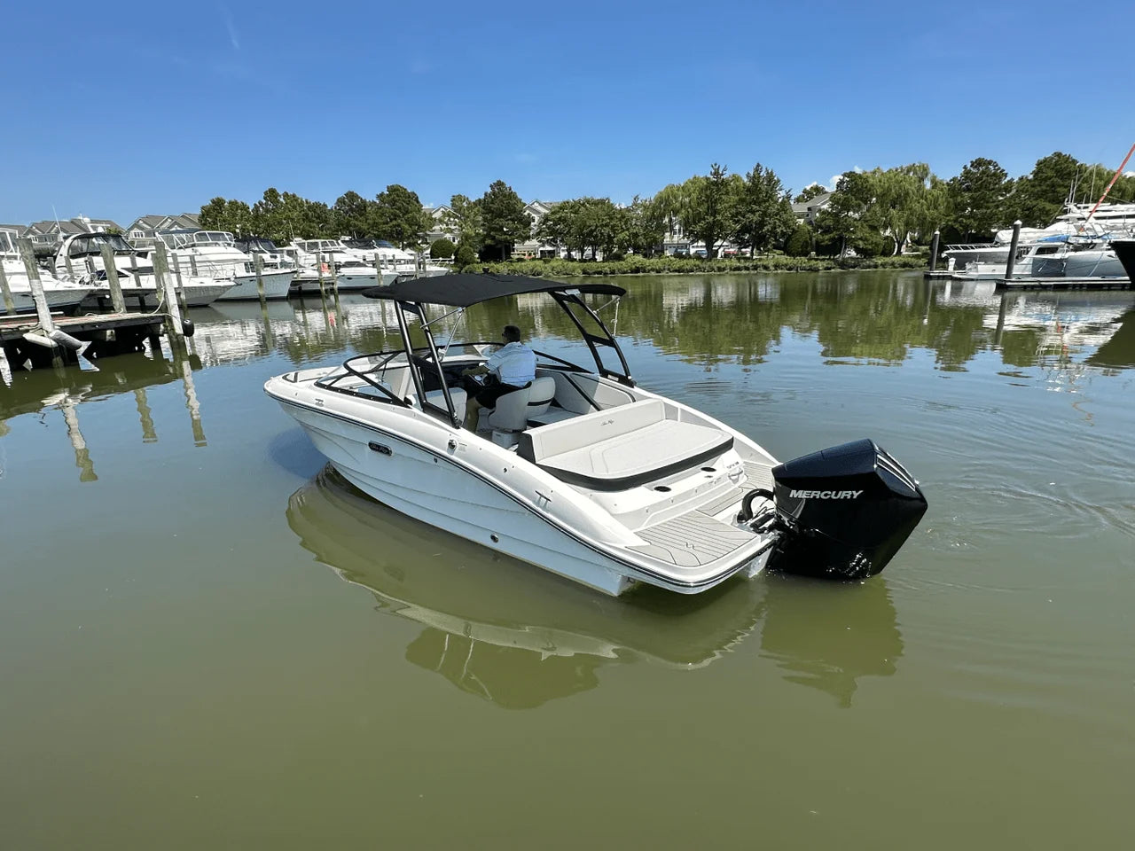2026 Sea Ray SPX 210 Outboard 21.0 feet, Clearwater, Florida #5