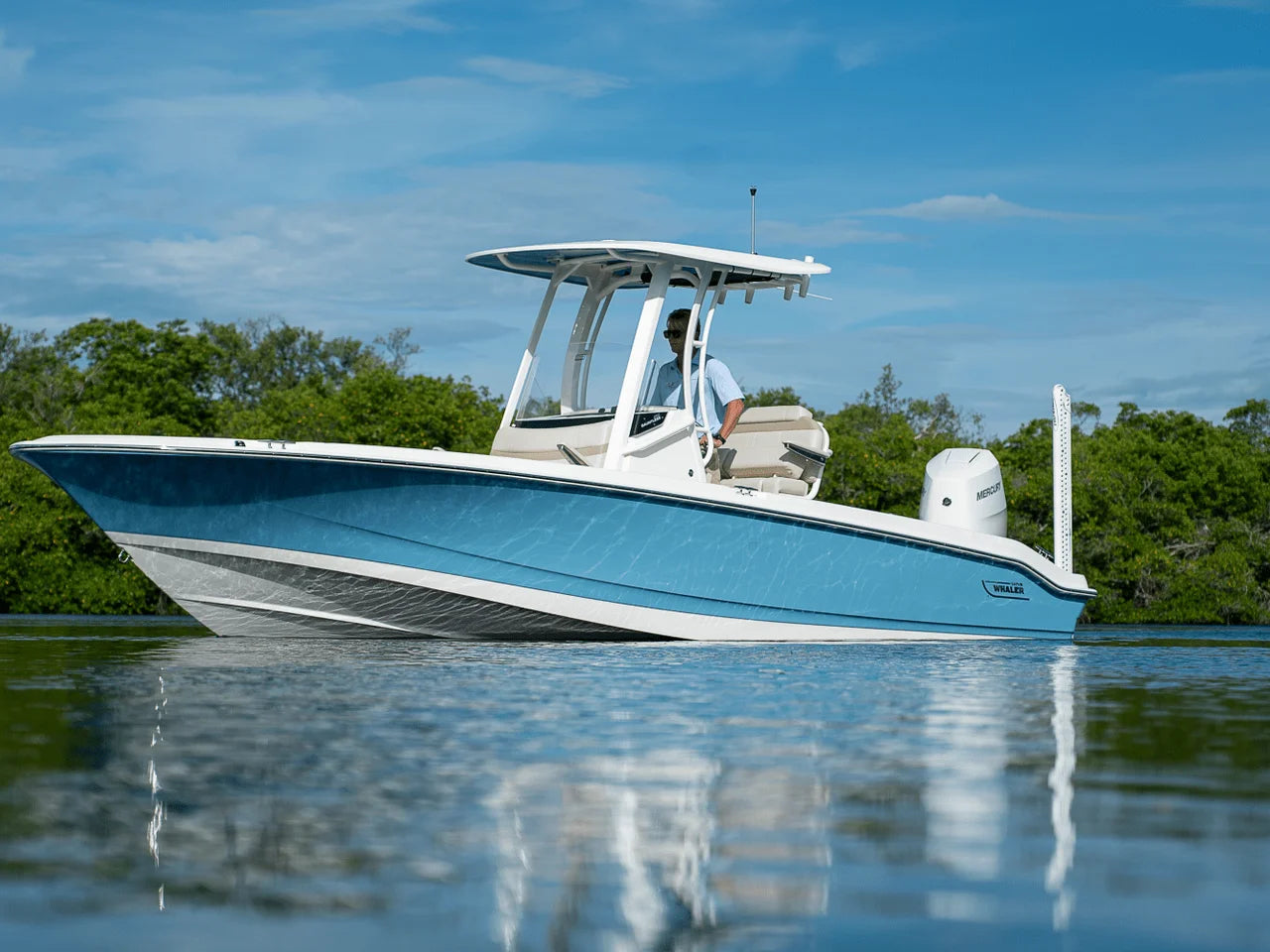 2026 Boston Whaler 250 Dauntless 25.0 feet, Clearwater, Florida #4