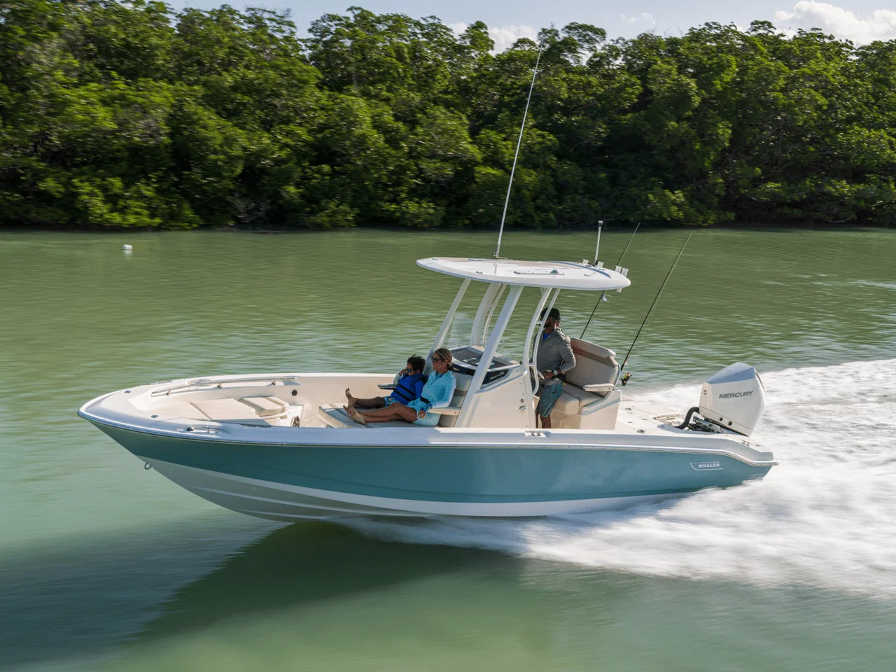 2026 Boston Whaler 250 Dauntless 25.0 feet, Clearwater, Florida #2