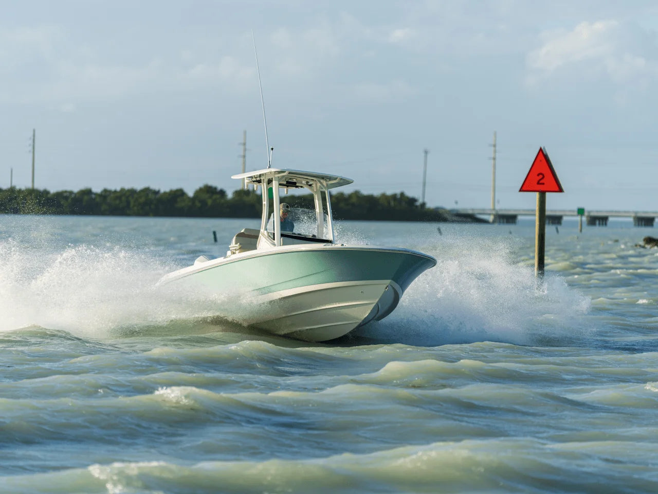 2026 Boston Whaler 250 Dauntless 25.0 feet, Clearwater, Florida #24