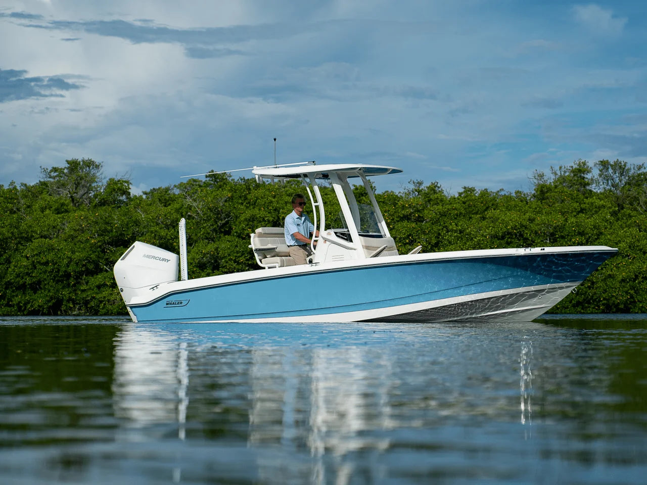2026 Boston Whaler 250 Dauntless 25.0 feet, Clearwater, Florida #1