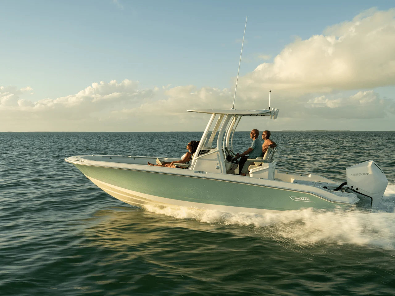 2026 Boston Whaler 250 Dauntless 25.0 feet, Clearwater, Florida #36