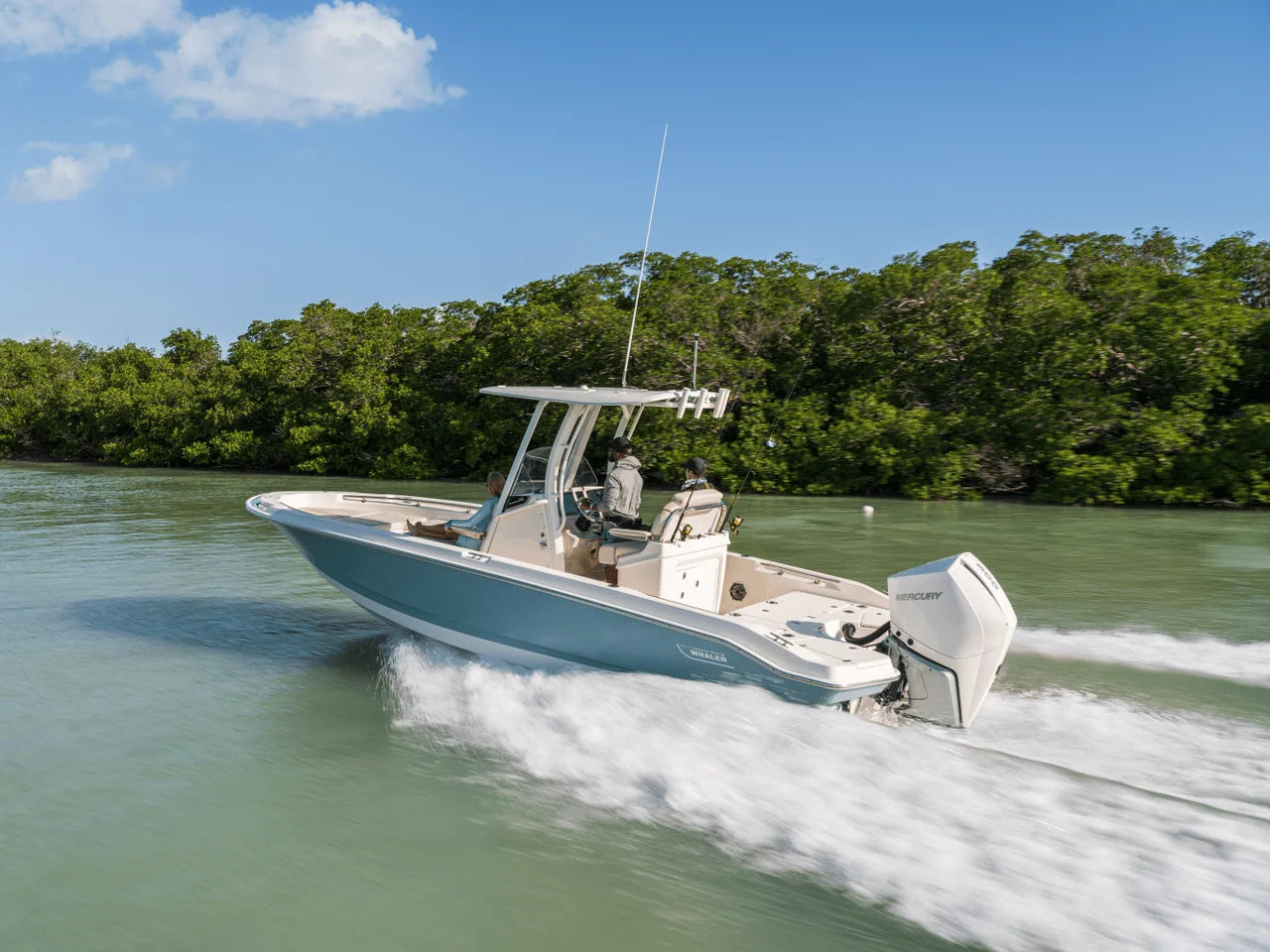 2026 Boston Whaler 250 Dauntless 25.0 feet, Clearwater, Florida #16