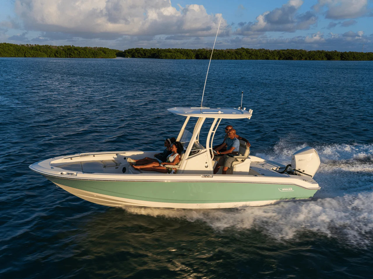 2026 Boston Whaler 250 Dauntless 25.0 feet, Clearwater, Florida #28